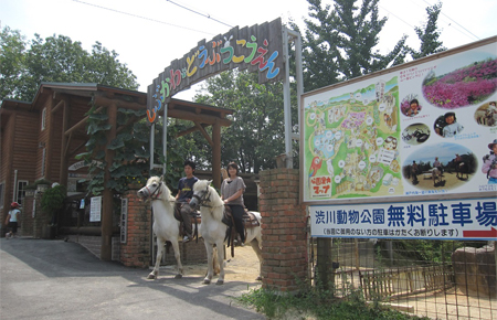 渋川動物公園