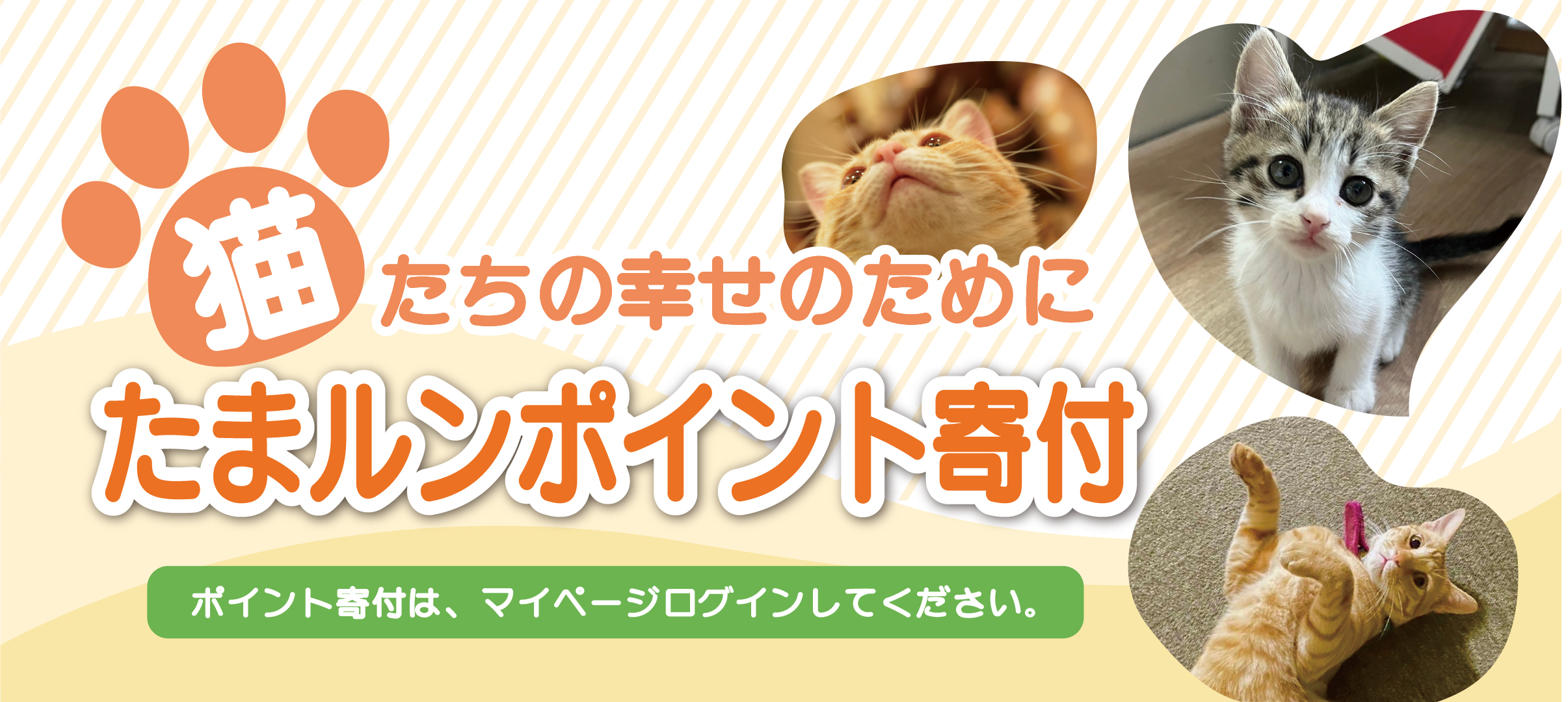 たまルンポイント寄付 猫たちの幸せのために