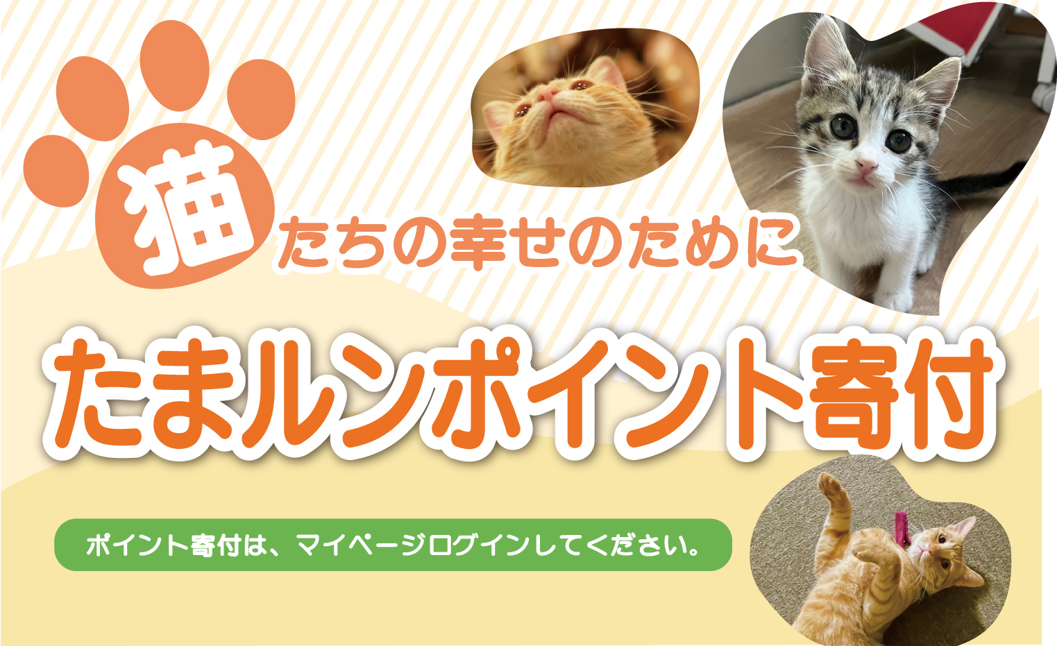たまルンポイント寄付 猫たちの幸せのために